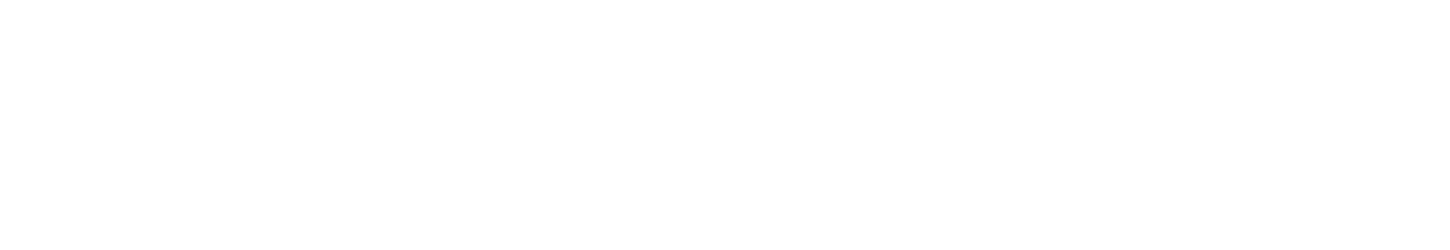 Narellan-Pools-Logo