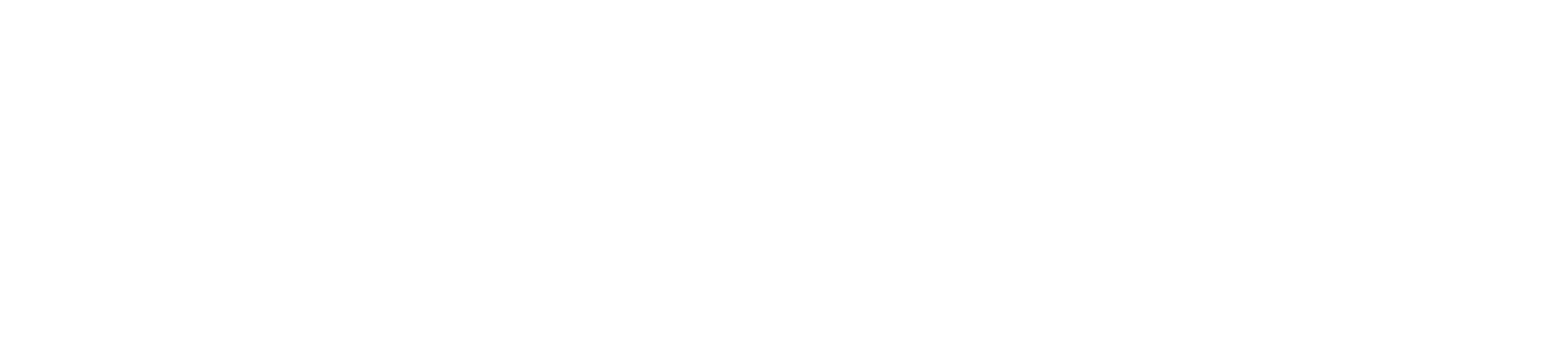 bellriver